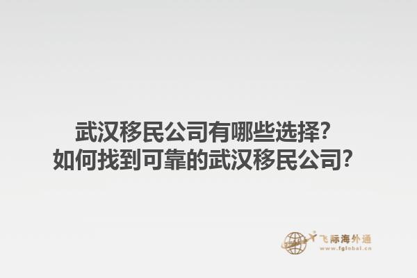 武汉移民公司有哪些选择？如何找到可靠的武汉移民公司？1.jpg