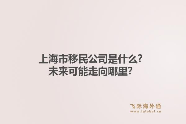 上海市移民公司是什么?未来可能走向哪里?1.jpg
