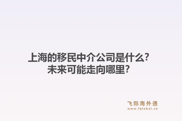上海的移民中介公司是什么?未来可能走向哪里?1.jpg