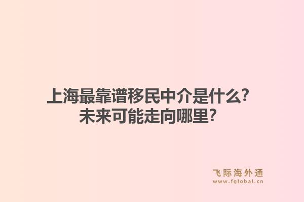 上海最靠谱移民中介是什么？未来可能走向哪里？