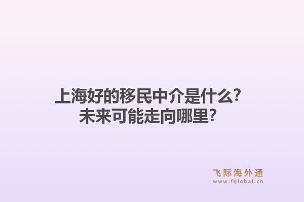 上海好的移民中介是什么？未来可能走向哪里？