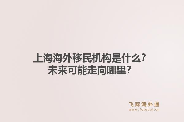 上海海外移民机构是什么？未来可能走向哪里？