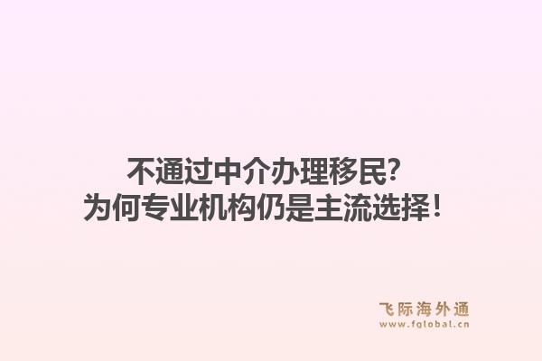 不通过中介办理移民?为何专业机构仍是主流选择!1.jpg