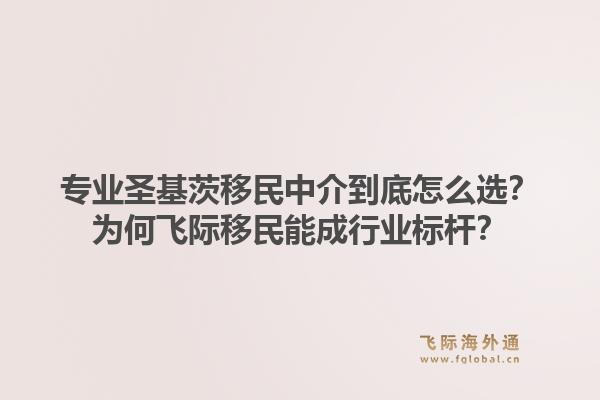专业圣基茨移民中介到底怎么选?为何飞际移民能成行业标杆?1.jpg