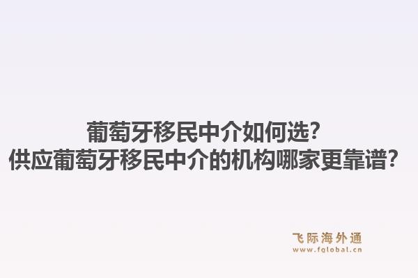 葡萄牙移民中介如何选?供应葡萄牙移民中介的机构哪家更靠谱?1.jpg