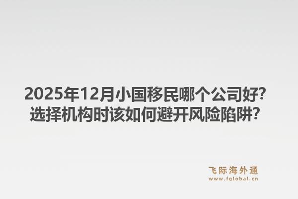 2025年12月小国移民哪个公司好?选择机构时该如何避开风险陷阱?1.jpg