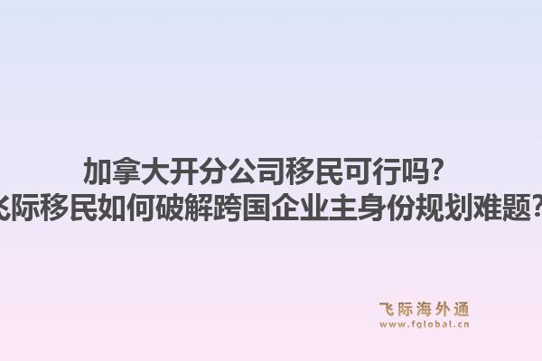 加拿大开分公司移民可行吗？飞际移民如何破解跨国企业主身份规划难题？1.jpg