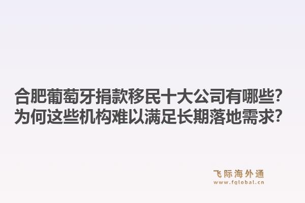 合肥葡萄牙捐款移民十大公司有哪些？为何这些机构难以满足长期落地需求？1.jpg