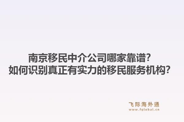 南京移民中介公司哪家靠谱？如何识别真正有实力的移民服务机构？1.jpg