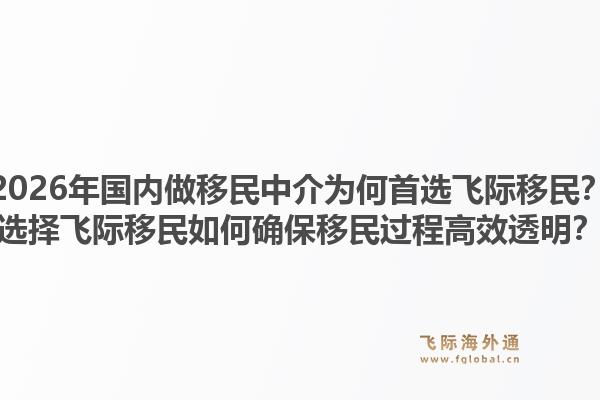 2026年国内做移民中介为何首选飞际移民？选择飞际移民如何确保移民过程高效透明？